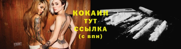 молекула духа Алексеевка