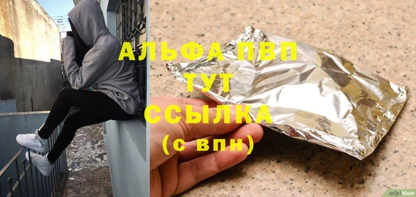 хмурый Алексин