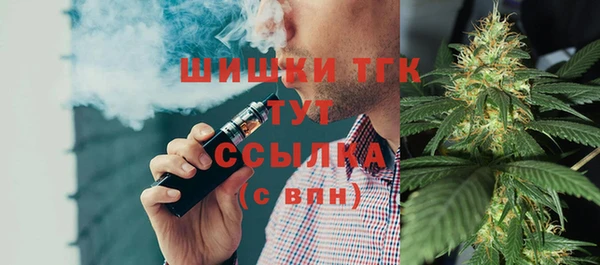 ECSTASY Алзамай